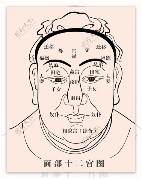 面相十二宫